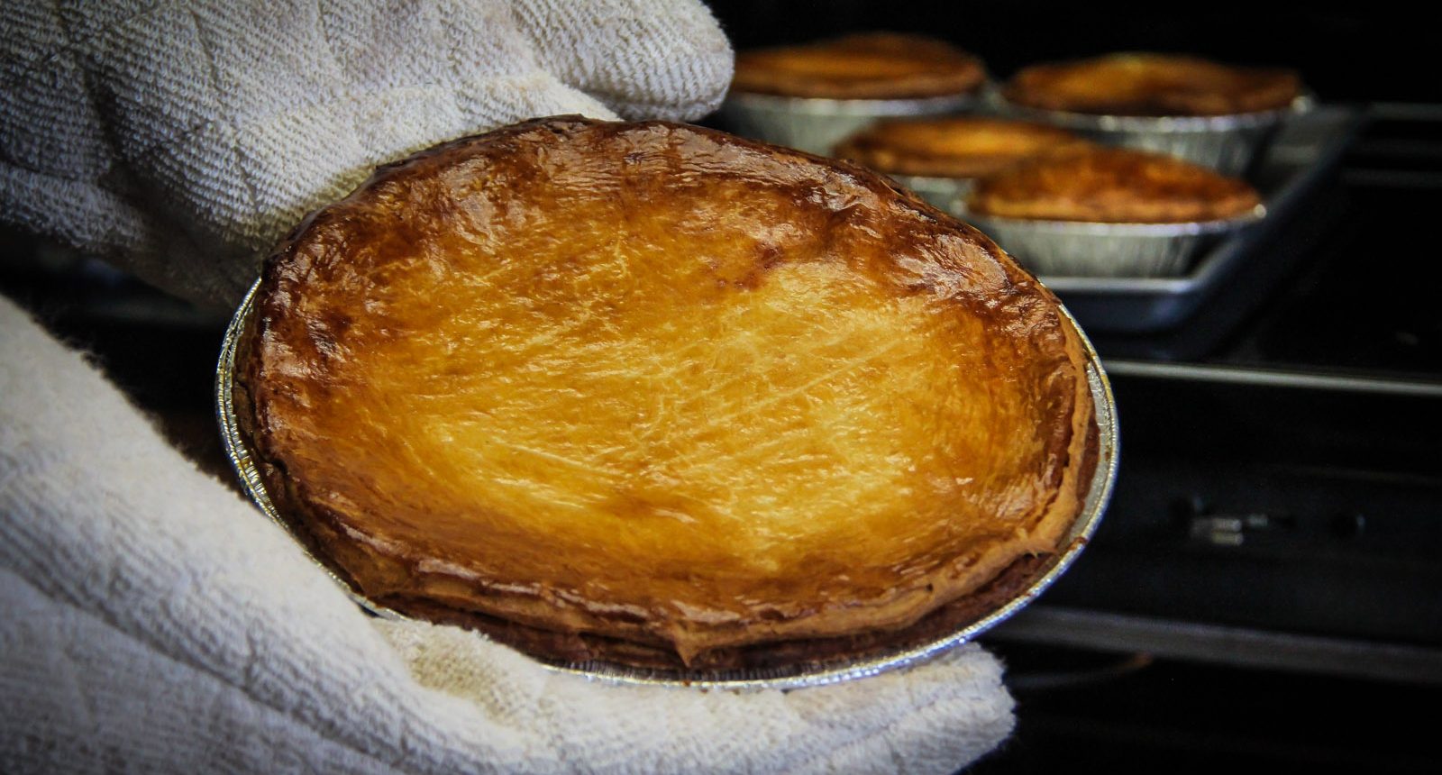 darelparkerphoto_20160506_3535